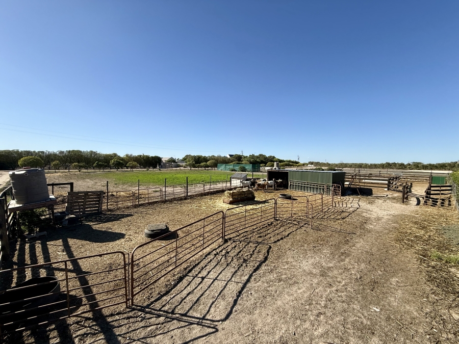 8 Bedroom Property for Sale in Long Acres Country Estate Western Cape